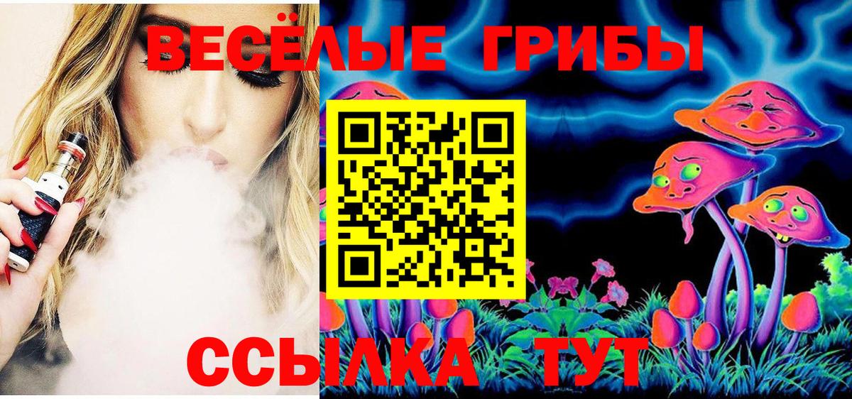 Псилоцибиновые грибы мицелий Ухта