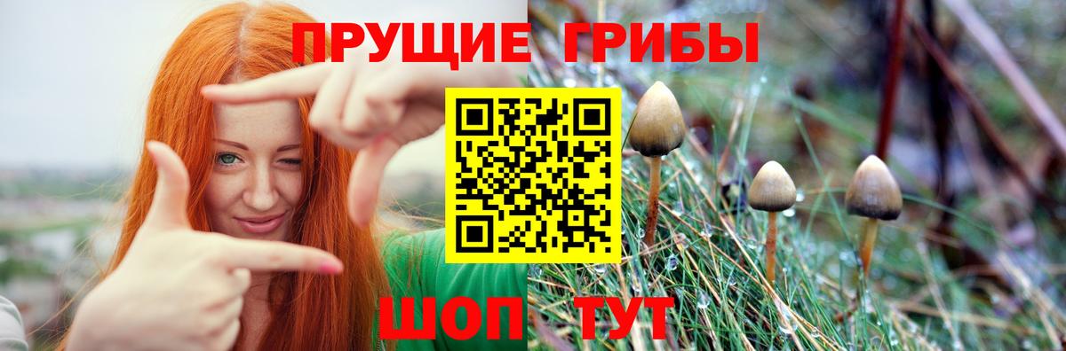 Галлюциногенные грибы ЛСД  Галлюциногенные грибы MAGIC MUSHROOMS  где найти наркотики  Вход с VPN  Ухта 